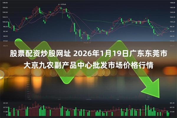 股票配资炒股网址 2026年1月19日广东东莞市大京九农副产品中心批发市场价格行情