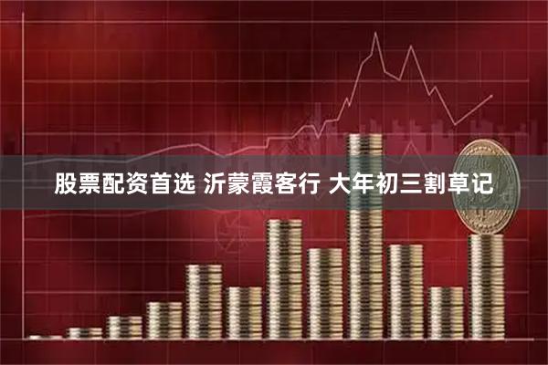 股票配资首选 沂蒙霞客行 大年初三割草记